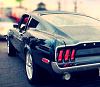 Mustang